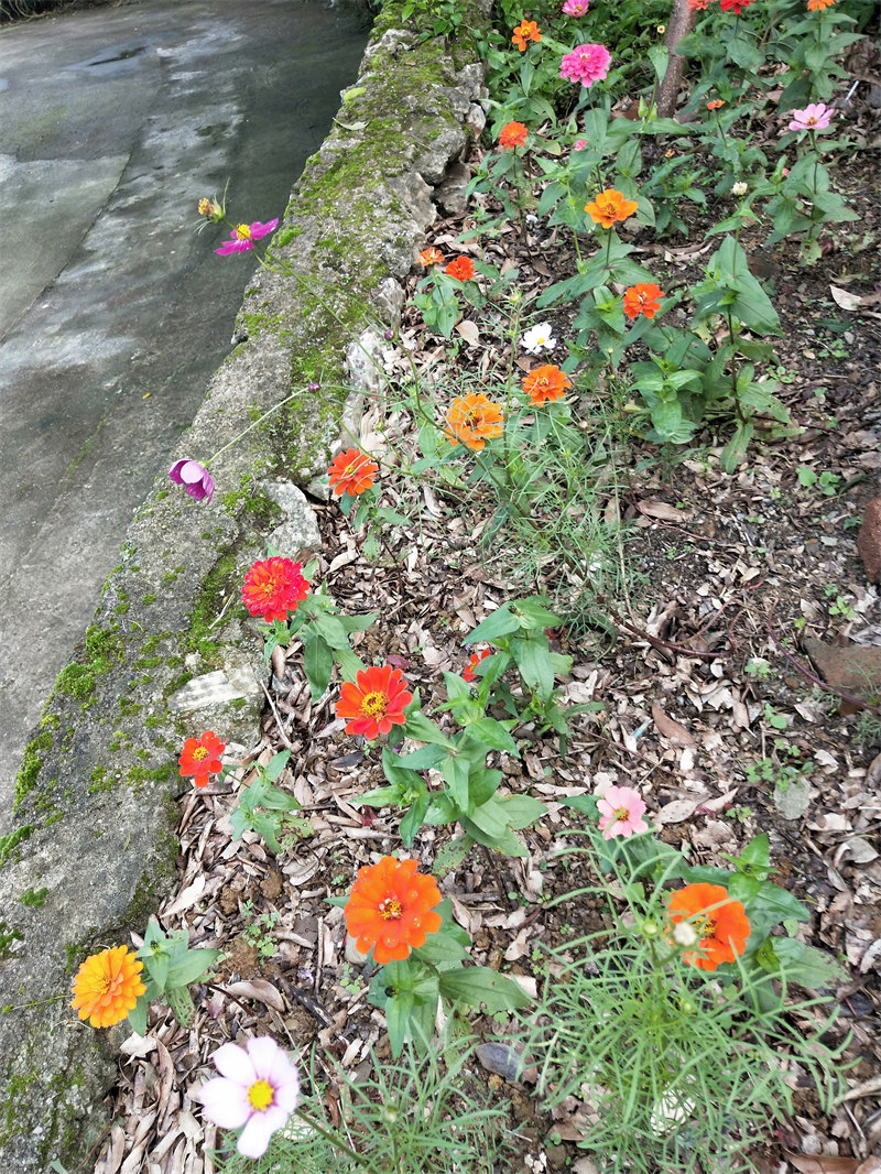 IMG20231029111358.jpg