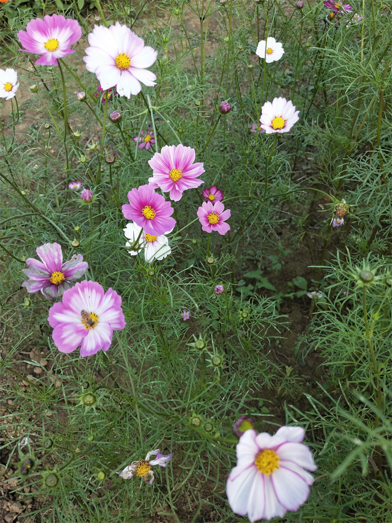 IMG20231030170657.jpg