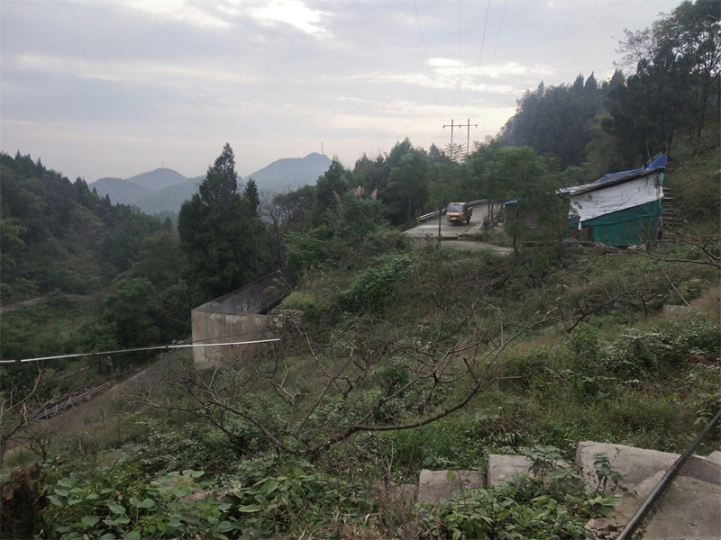 IMG20231031083012.jpg
