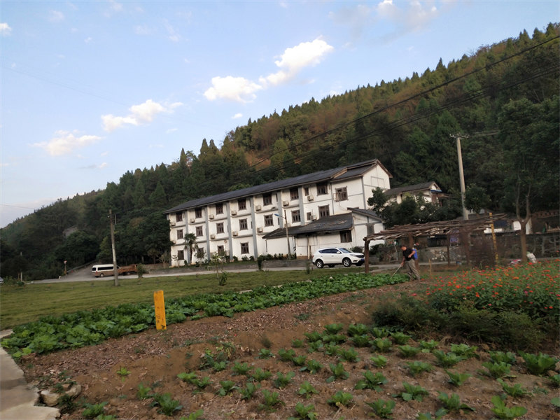 IMG20231031173300.jpg