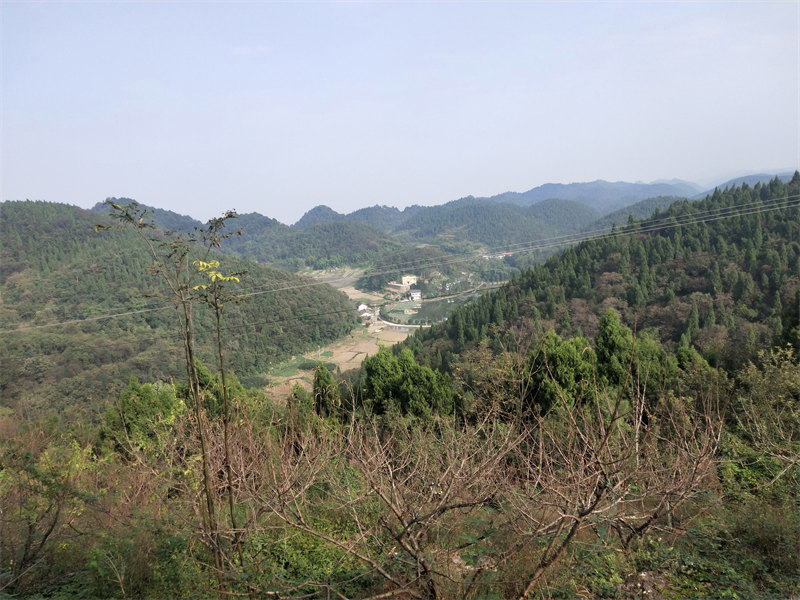 IMG20231102100731.jpg