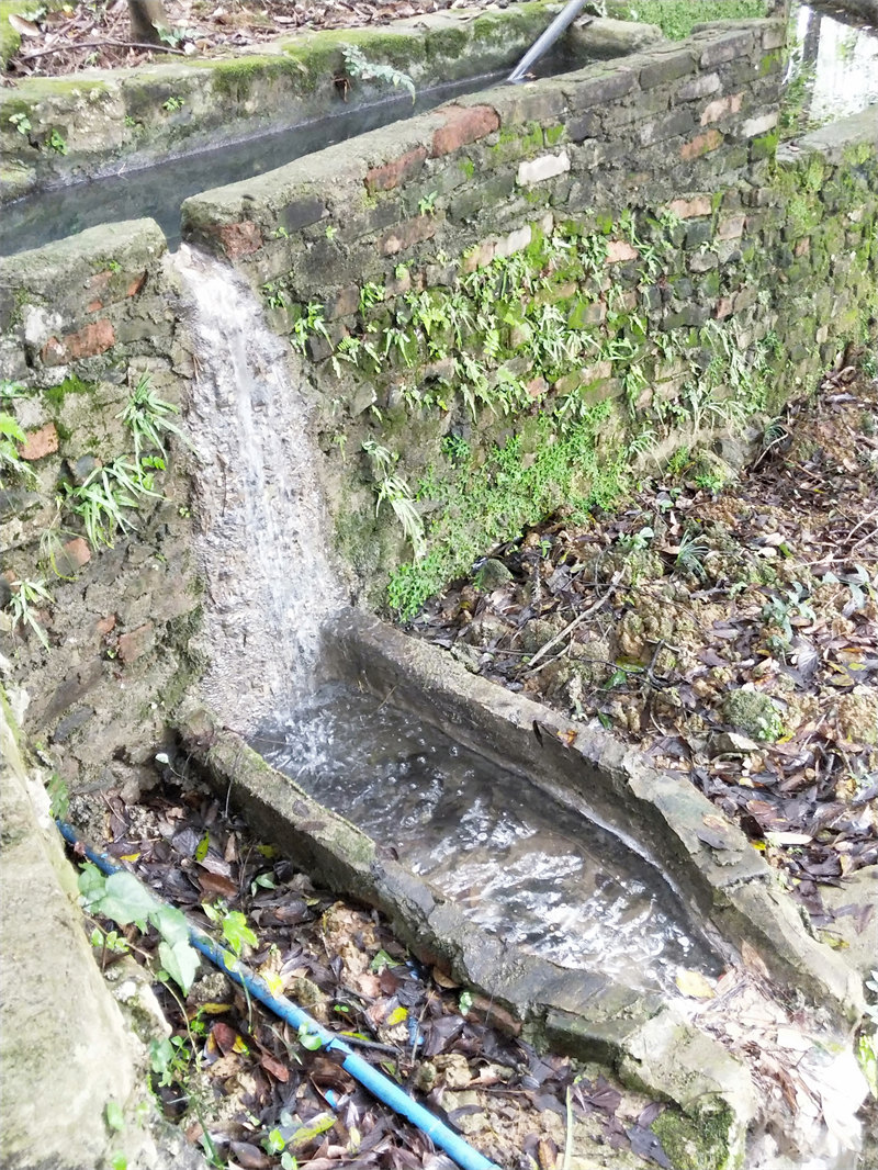 IMG20231109110359.jpg