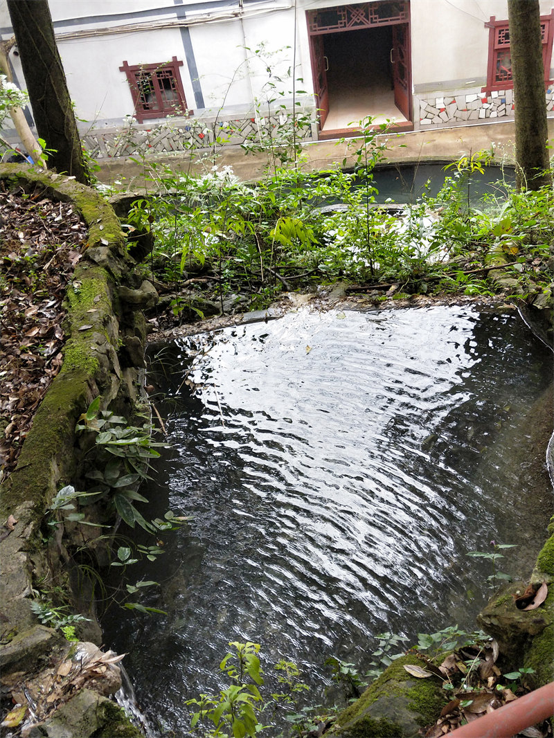 IMG20231109110411.jpg
