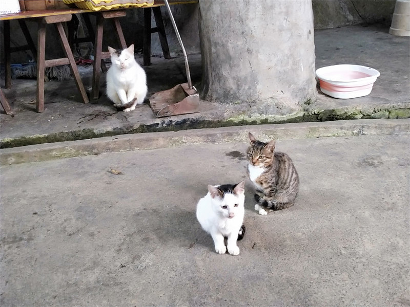 IMG20231110174003.jpg