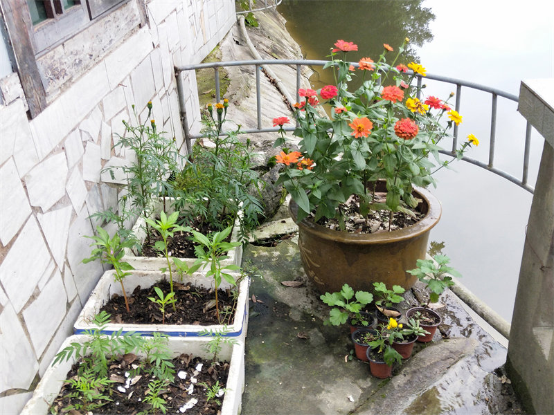 IMG20231114162901.jpg