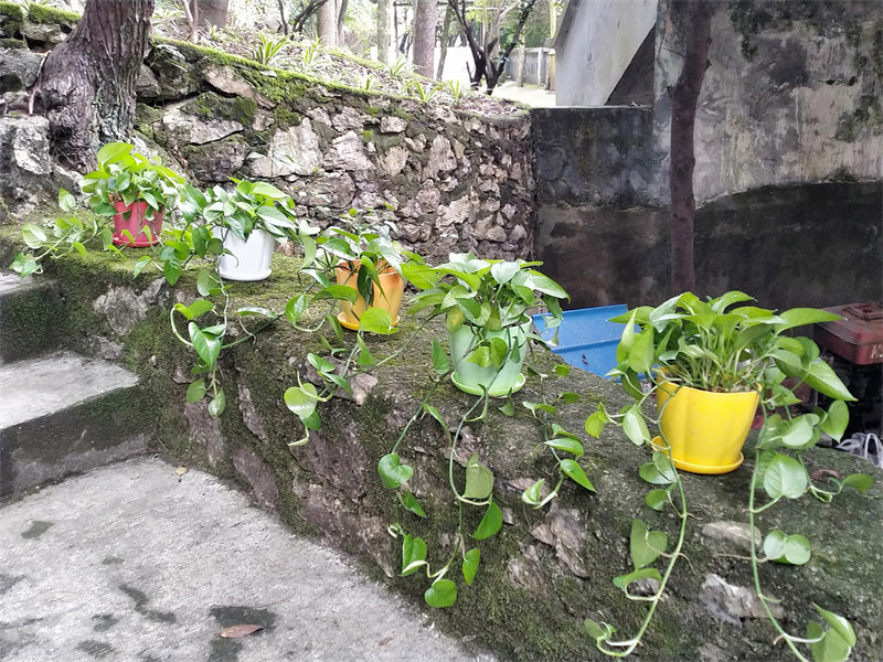 IMG20231114165126.jpg