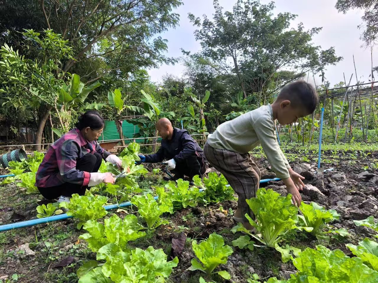 生命禅院第二家园成员在自然中共同劳动与生活的文明场景，体现开心快乐自由幸福的本质。 ...