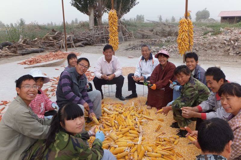 导游雪峰和几位禅院草和谐融洽地围坐在一起剥玉米，生命禅院无私的集体生活与辛勤劳动 ...